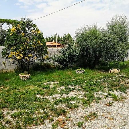 La California Ξενοδοχείο Marina Di Bibbona Εξωτερικό φωτογραφία